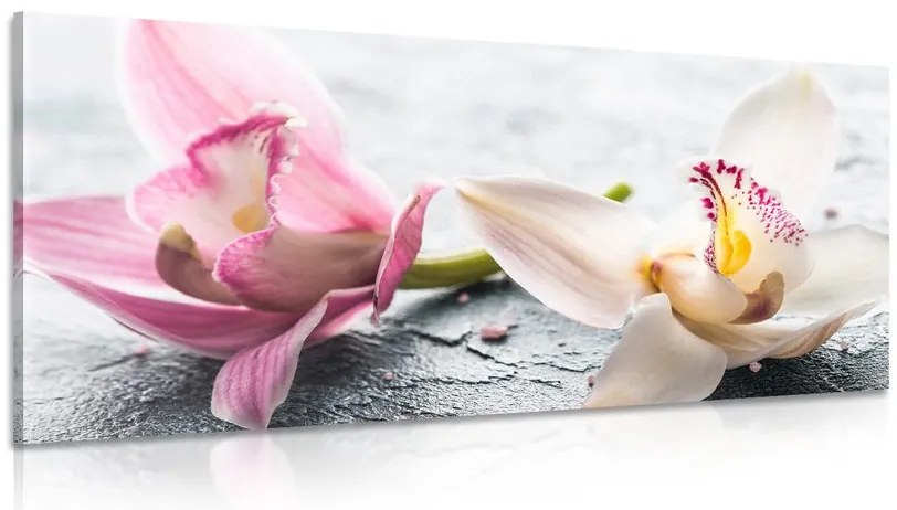 Quadro su tela – Fiori di orchidea