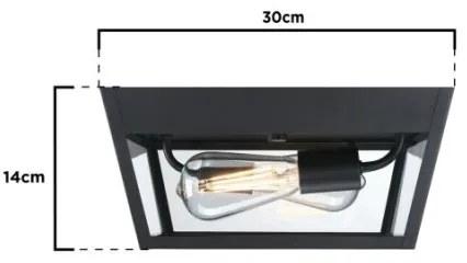 Westinghouse 61219 - Plafoniera da esterno PETERSON 2xE27/40W/230V IP44