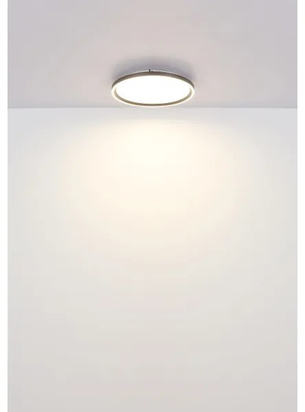 Globo 48802-48 - Plafoniera LED dimmerabile DUBLIN LED/48W/230V + +TC