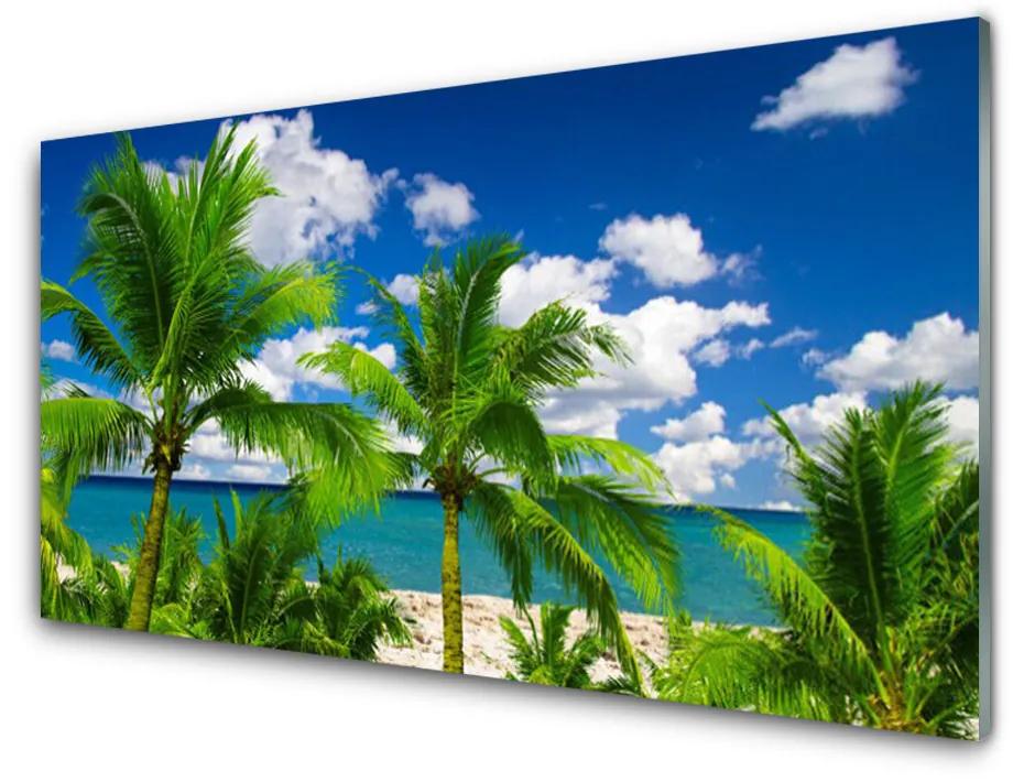 Quadro acrilico Paesaggio delle palme del mare 100x50 cm