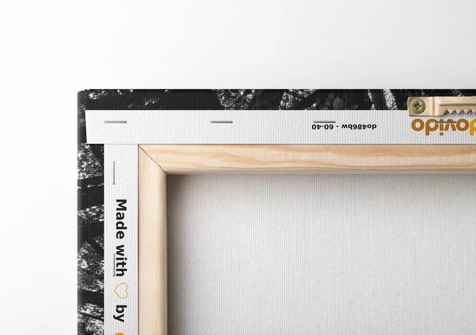 Quadro su tela – Alberi maestosi in bianco e nero