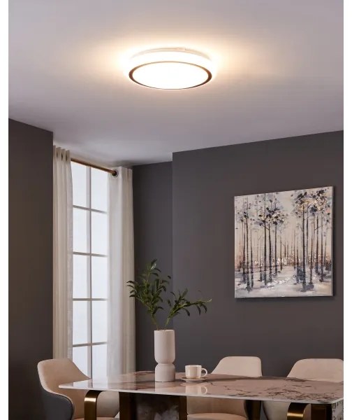 Eglo 900149 - Plafoniera LED CAPASSO LED/14,6W/230V