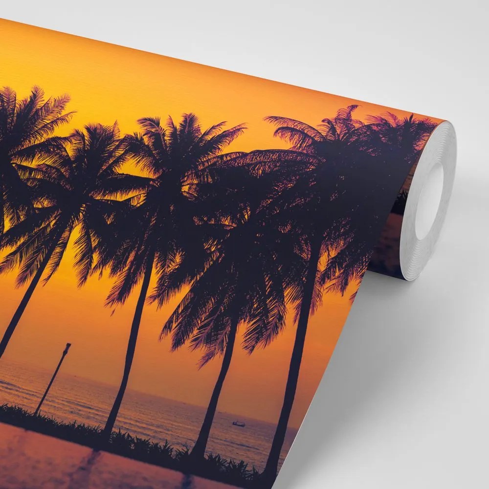 Carta da parati – Tramonto sulle palme