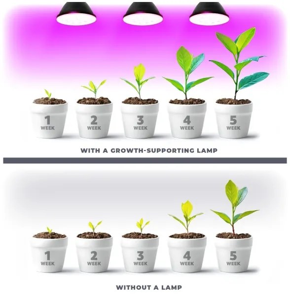 LED Lampadina per la crescita delle piante PLANTY E27/9W/230V 1200K nero