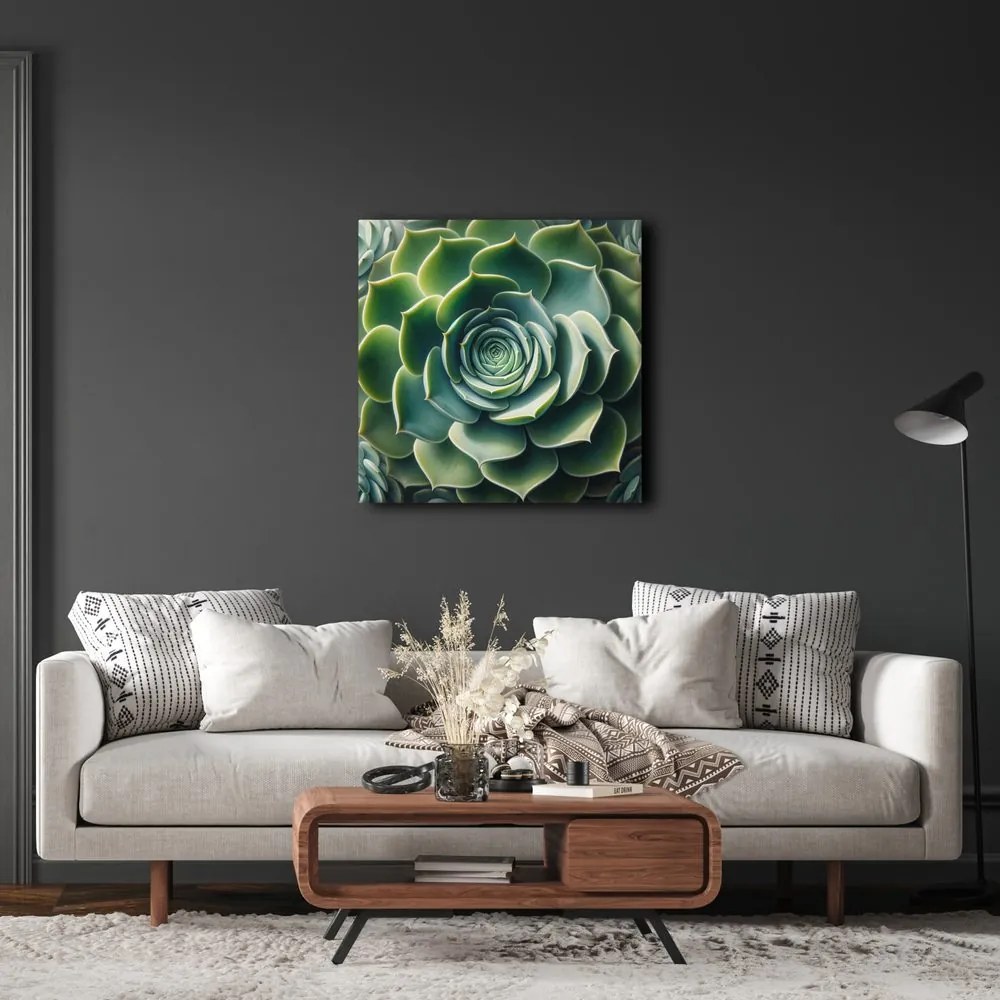 Quadro su tela – Spirale perfetta della pianta grassa