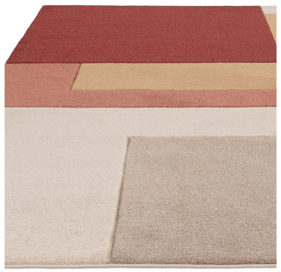 Tappeto color mattone 160x230 cm Sketch - Asiatic Carpets