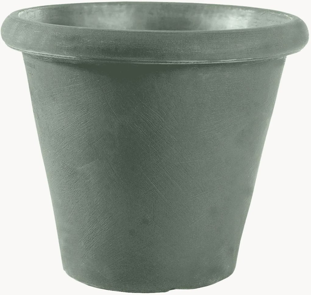 Portavaso Camelia