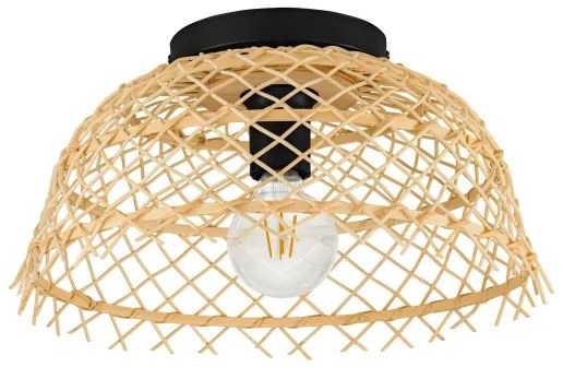 Eglo 43831 - Plafoniera AUSNBY 1xE27/40W/230V