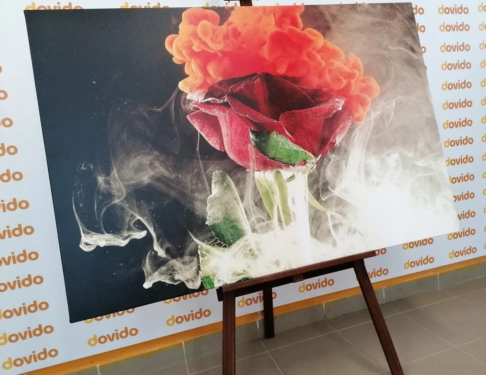 Stampa su tela – Rose con elementi astratti