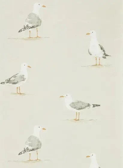 Möwen Tapete Shore Birds von Sanderson - Driftwood