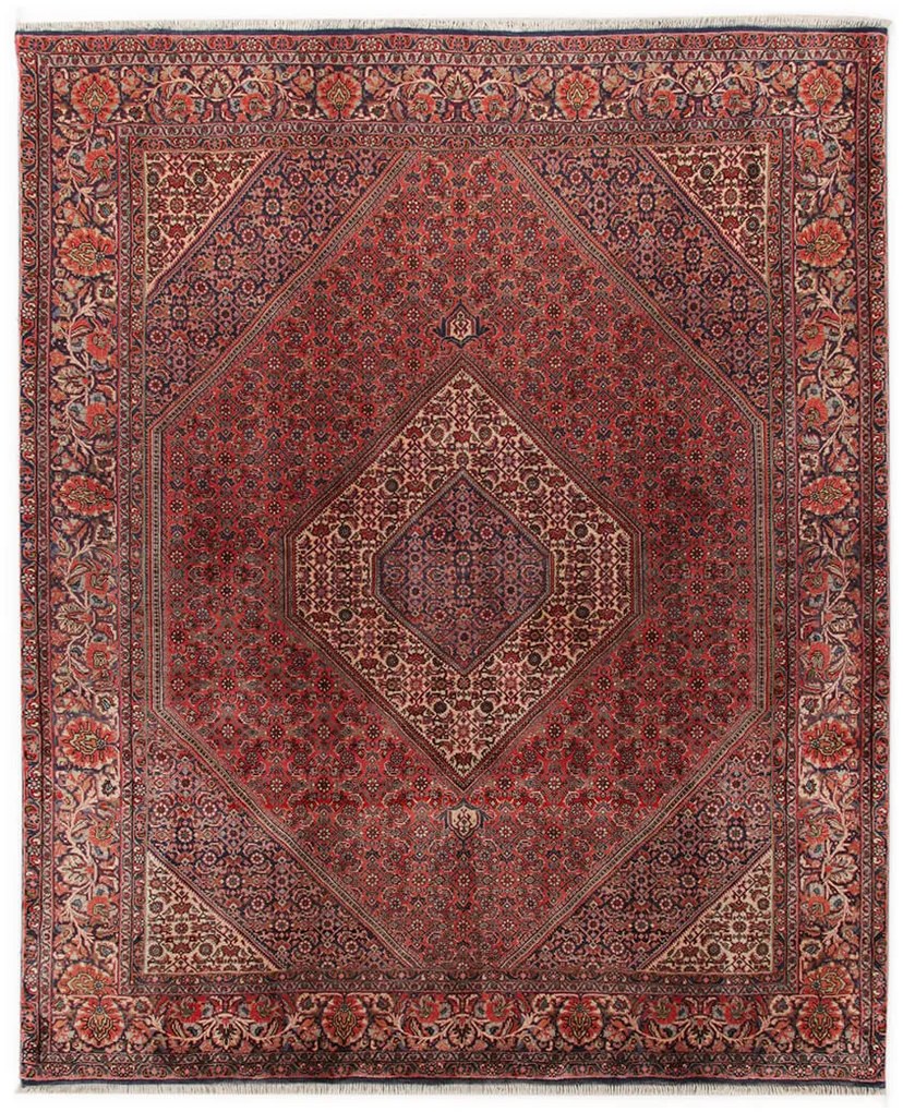Bidjar Tappeto 250 x 200 (Iran) Annodato A Mano
