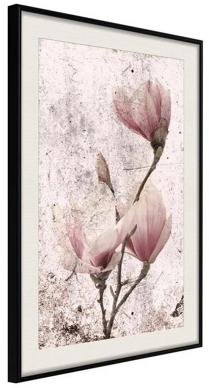 Poster  Queen of Spring Flowers II  Cornice Quadri Cornice nera con pass-partout, Larghezza x Altezza Home decor 40x60