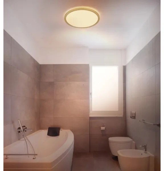 Globo 41562-18MM - Plafoniera LED dimmerabile SAPANA LED/18W/230V IP44