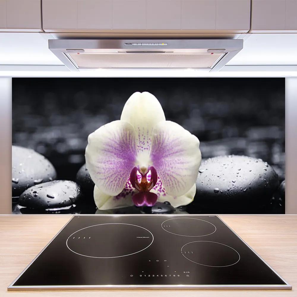 Pannello retrocucina Pianta dell'orchidea del fiore 100x50 cm