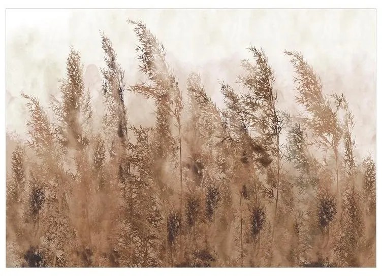 Fotomurale adesivo  Tall Grasses  Brown  Larghezza x Altezza Home decor 147x105