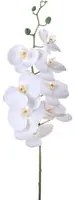 Set 3 Rami Artificiali Phalaenopsis con 8 Fiori H 103 cm