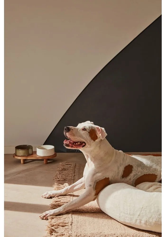 Set di 2 ciotole in ceramica per cani Dumbi - Kave Home