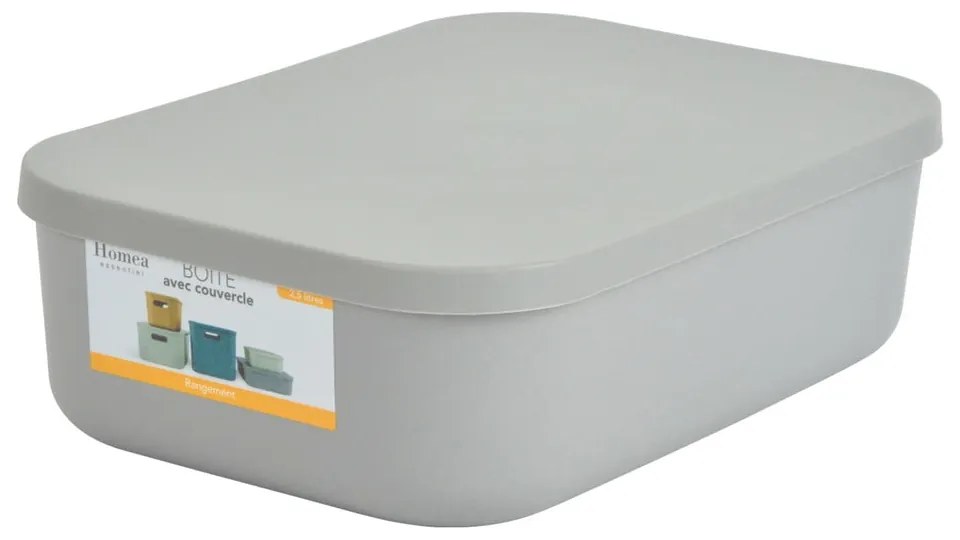 Scatola con coperchio grigia in plastica 24x18x8 cm – Homéa