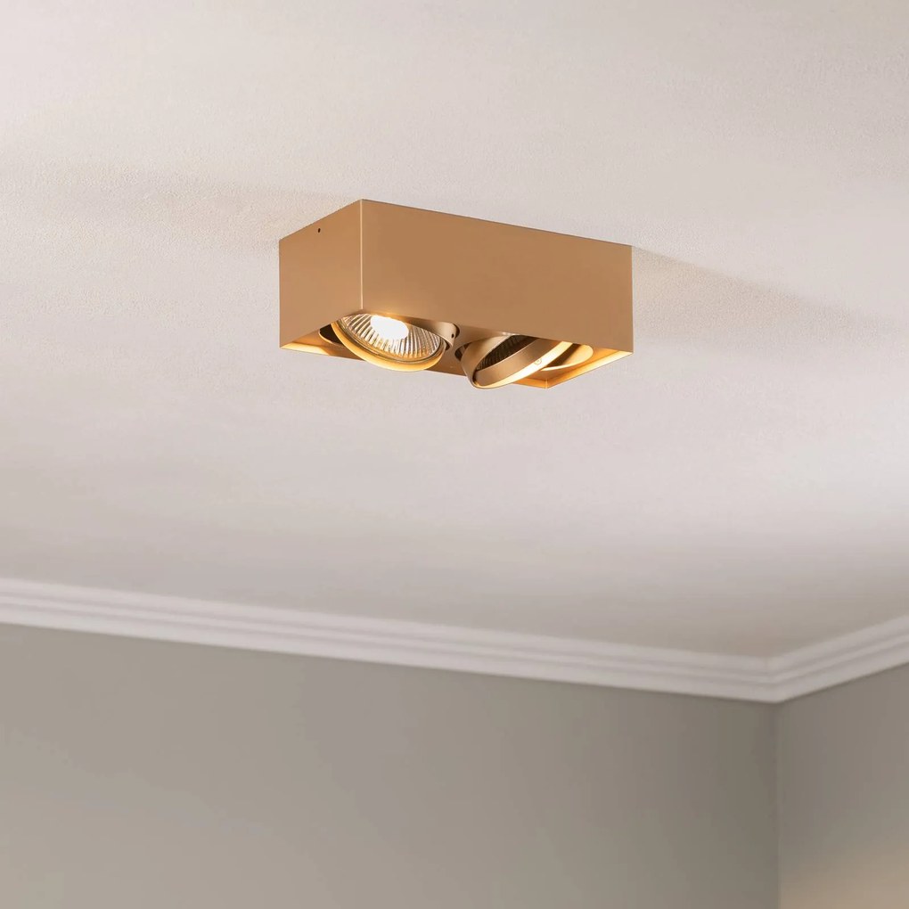 Argon Faretto da soffitto Riesta, oro, 2 luci