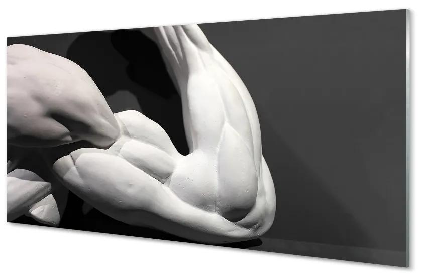 Quadro su vetro Muscoli in bianco e nero 100x50 cm