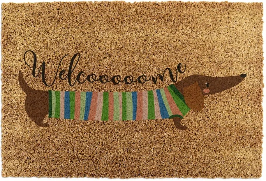 Zerbino in fibre di cocco 40x60 cm Welcome Sausage Dog – Artsy Doormats