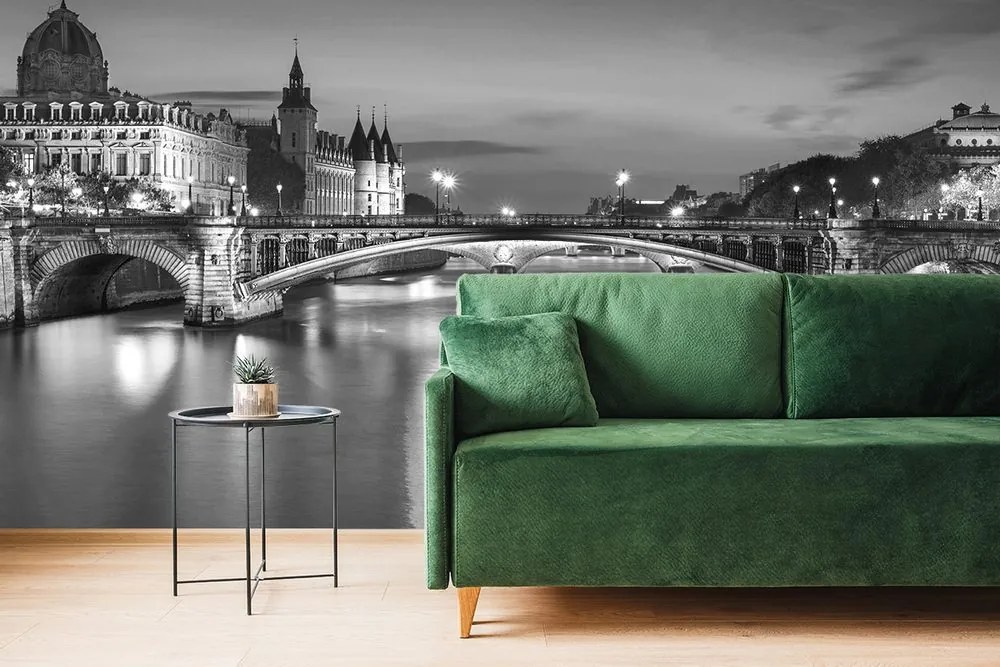 Carta da parati – Panorama abbagliante di Parigi in bianco e nero