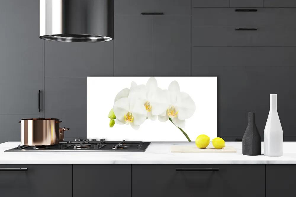 Pannello cucina paraschizzi Gambi di orchidea Fiori Natura 100x50 cm