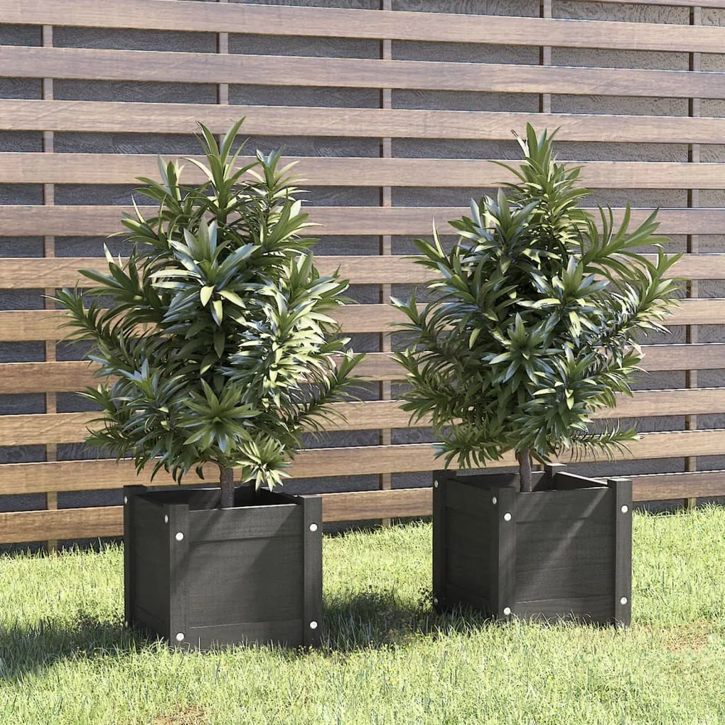 Fioriere Da Giardino 2 Pz Grigie 31x31x31 Cm İn Legno Di Pino /