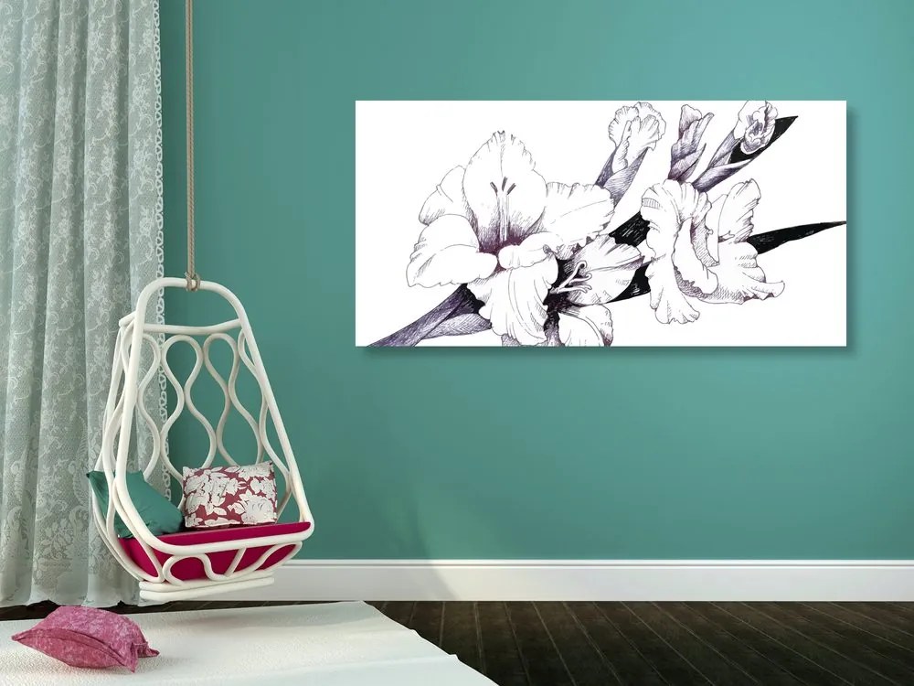Quadro su tela – Illustrazione di gladioli in fiore