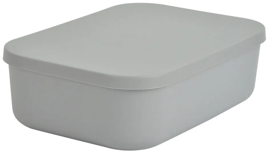 Scatola con coperchio grigia in plastica 24x18x8 cm – Homéa
