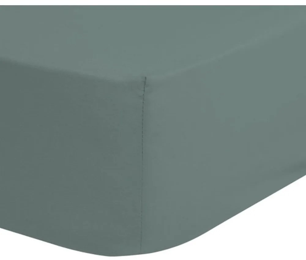 Lenzuolo elastico in cotone verde baby, 70 x 140/150 cm - Good Morning