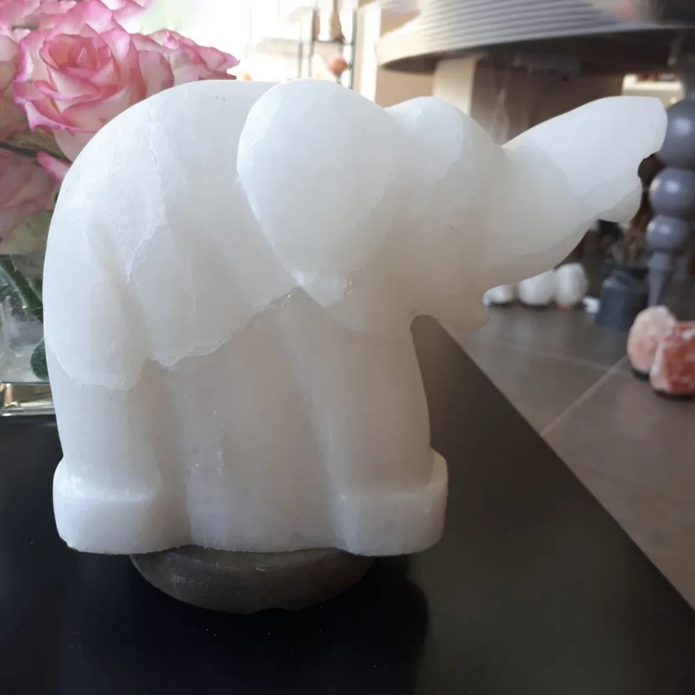 Lampada di Sale Himalayano Bianco naturale a forma di Elefante