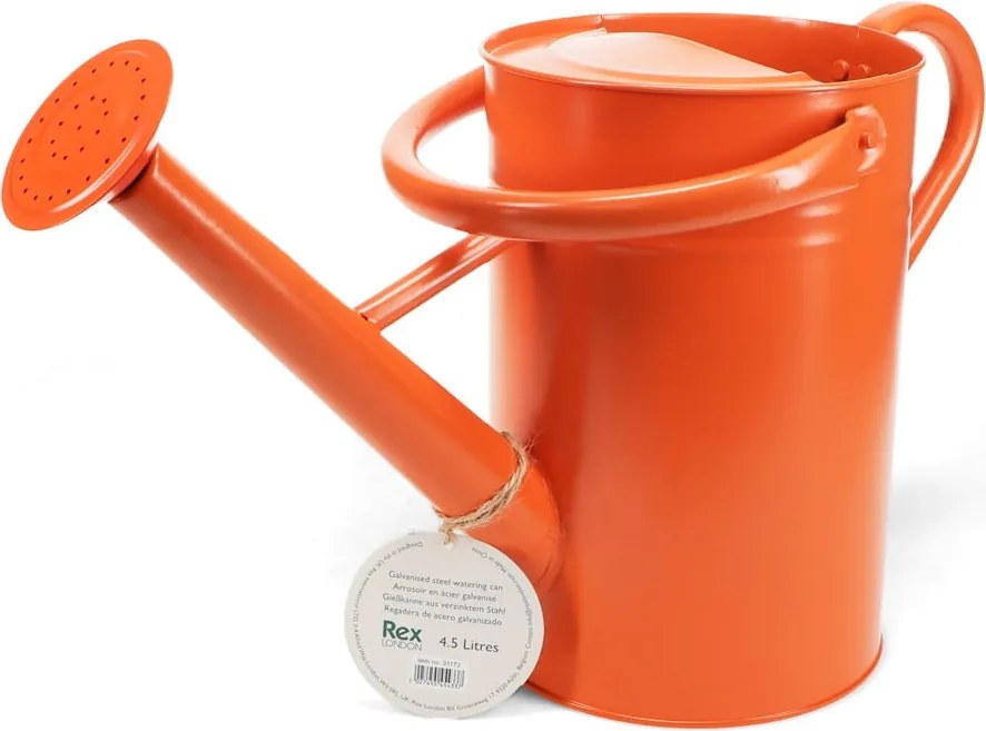 Annaffiatoio in metallo 4,5 l – Rex London