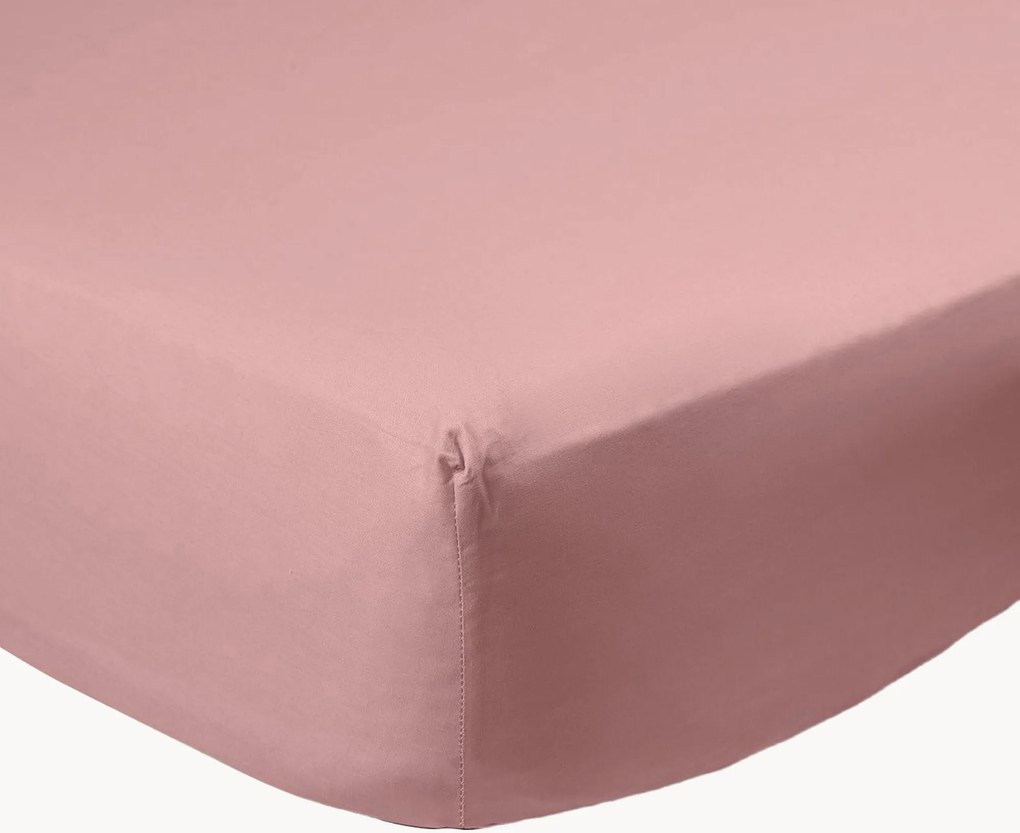 Lenzuolo con angoli boxspring in percalle di cotone Mauve