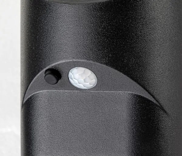 Rabalux 77013 - Luce solare a LED con sensore SEPIK LED/3,6W/3,7V IP44