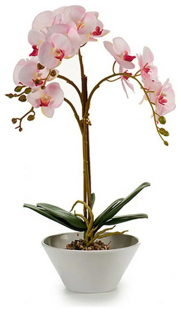 Pianta Decorativa Orchidea Plastica 20 x 60 x 28 cm (2 Unità)