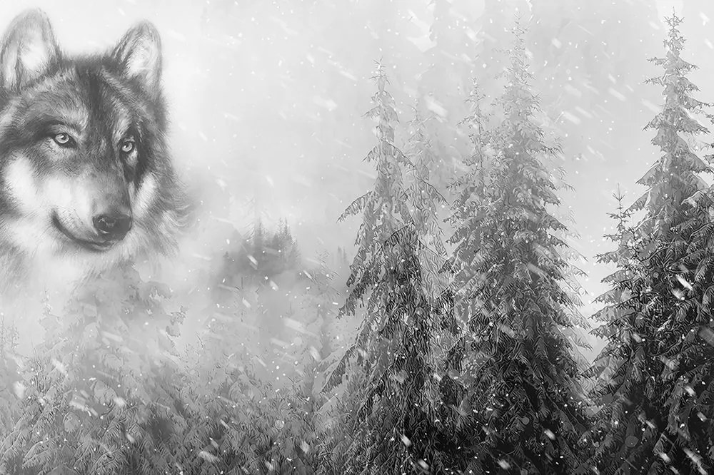 Carta da parati autoadesiva – Lupo in bianco e nero nel paesaggio innevato