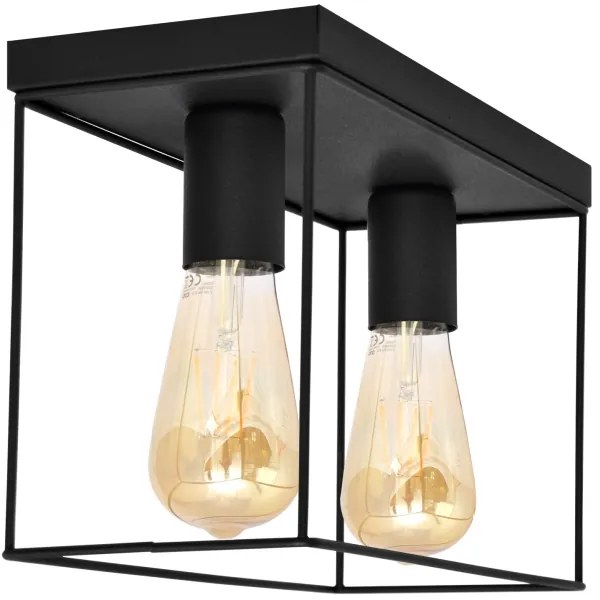 Plafoniera FINN 2xE27/15W/230V nero