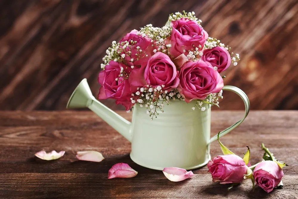 Stampa su tela – Rose in annaffiatoio