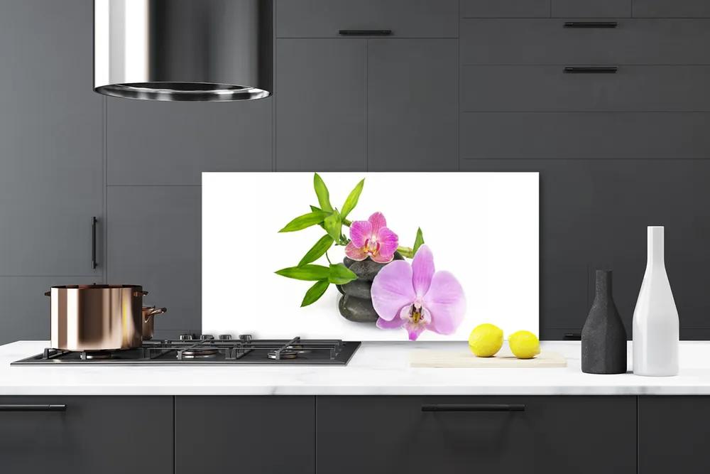 Schienali cucina Pianta dell'orchidea del fiore 100x50 cm