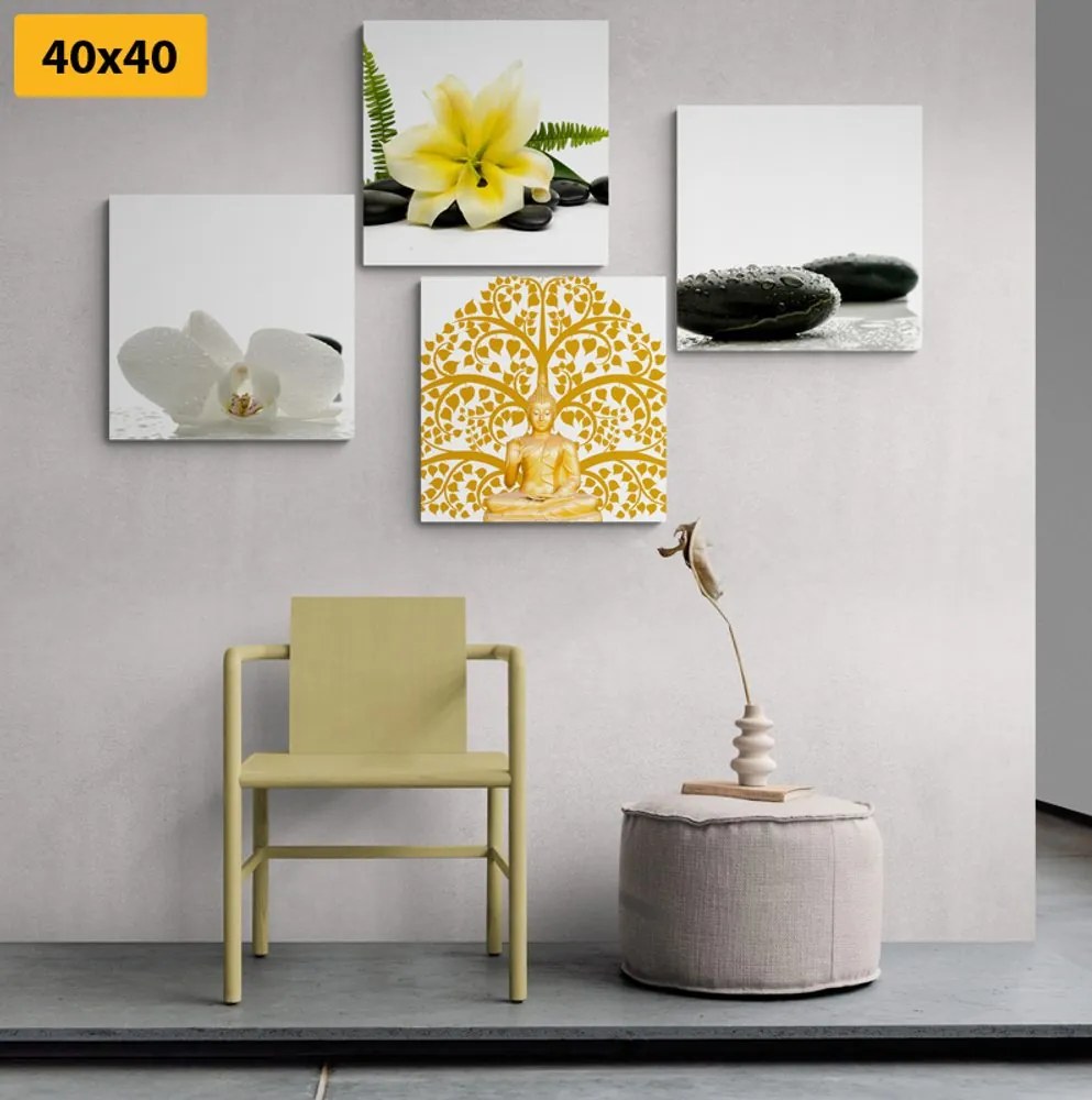 Set di quadri – Natura morta Feng Shui delicata