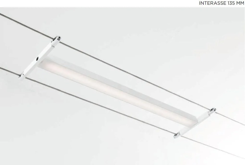 Sorg. Led 12V VDC