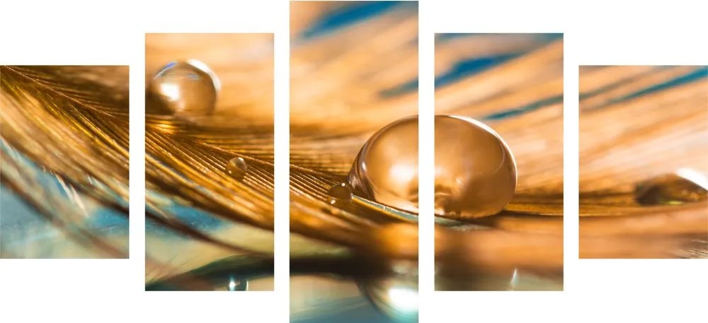 Quadri 5 pezzi – Goccia d'acqua su piuma dorata