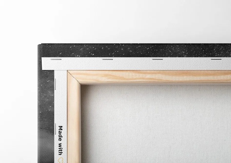 Quadro su tela – Tenda sotto il cielo notturno in bianco e nero