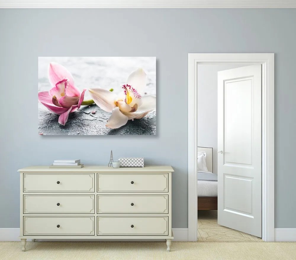 Stampa su tela – Due fiori colorati di orchidea