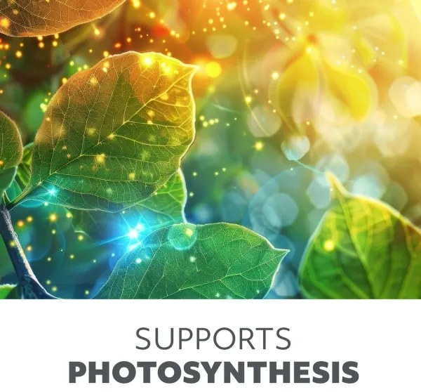 Brilagi-Lampada da terra dimmerabile a LED per la coltivazione di piante VITABLOOM 4xLED/7,5W/230V