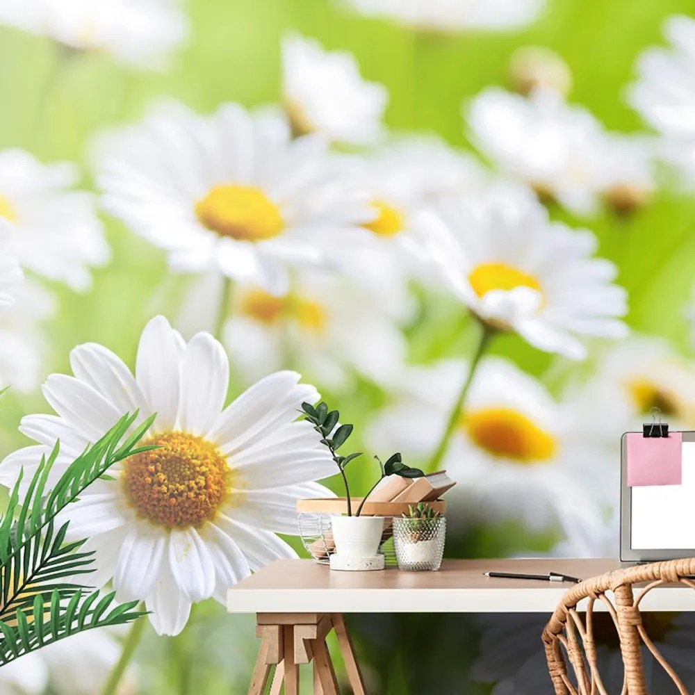 Carta da parati – Prato primaverile pieno di fiori