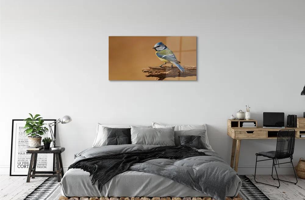 Quadro acrilico Uccello 100x50 cm