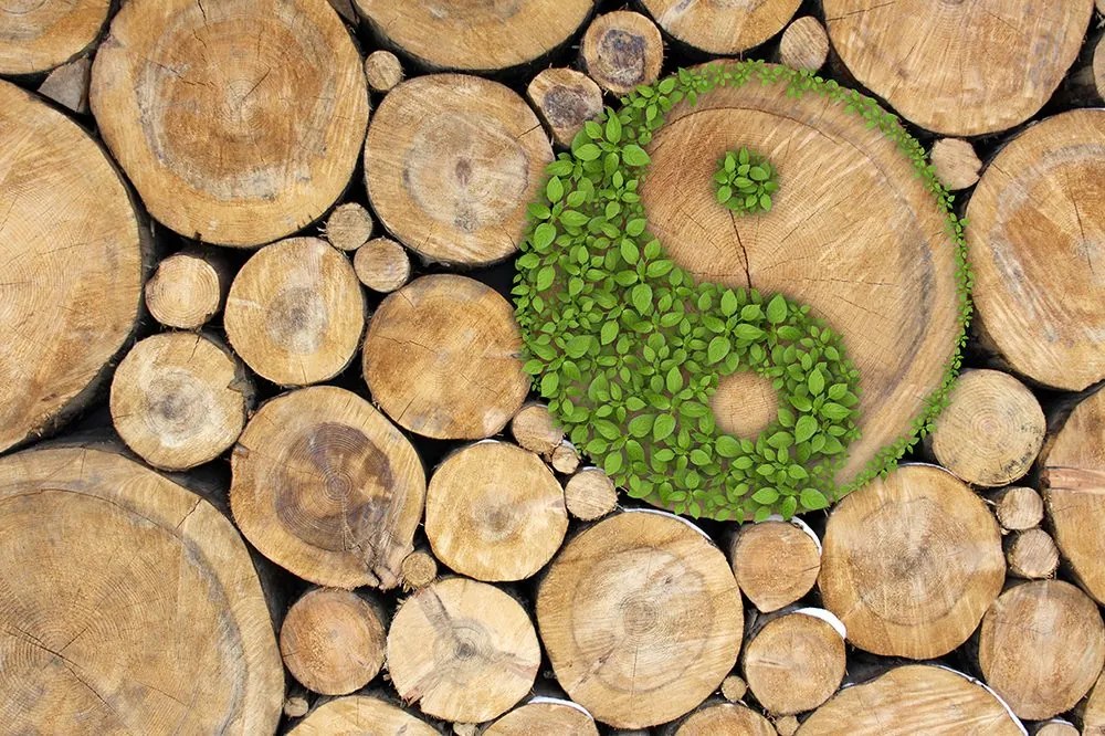Carta da parati – Yin e Yang in versione eco