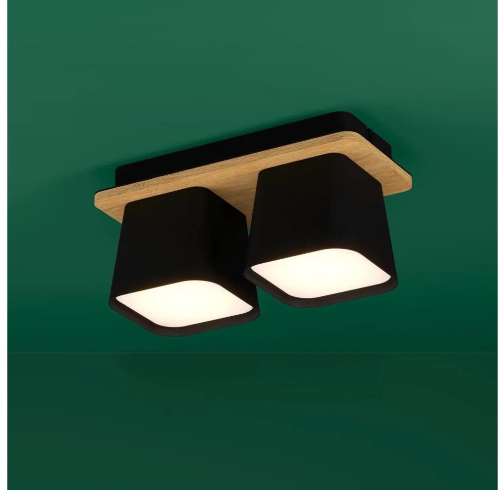 Eglo 390007 - Plafoniera RUSCIO 2xE27/40W/230V nero/marrone